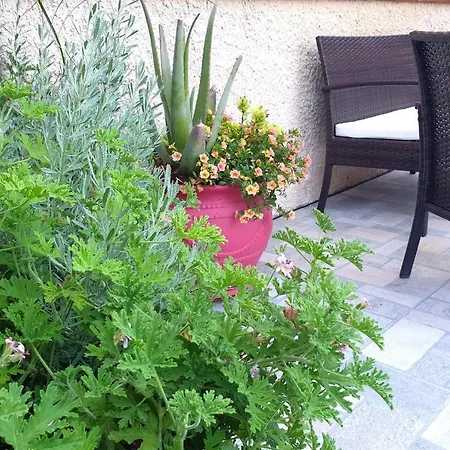 Ferienhaus Aloe House