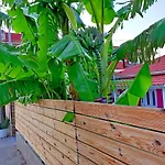 Aloe House *