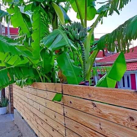 Aloe House *