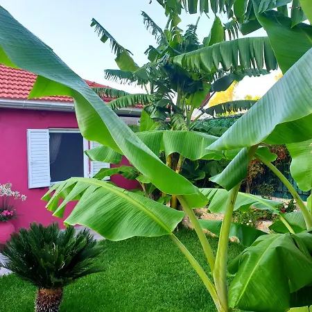 Aloe House