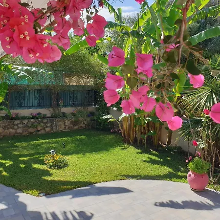 Aloe House Casa vacanze *