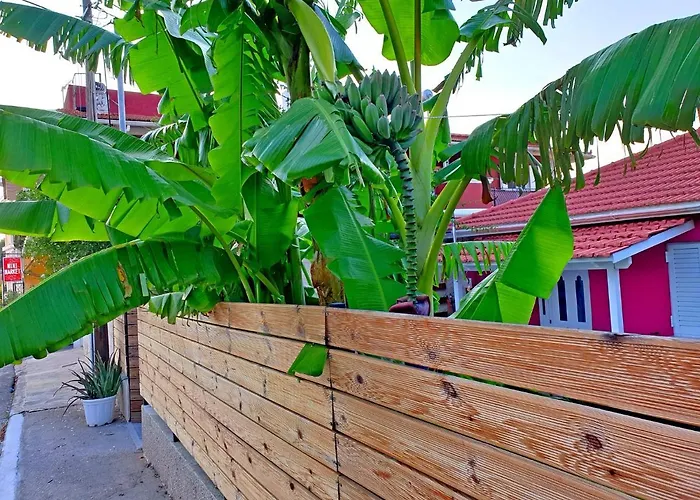 Aloe House *