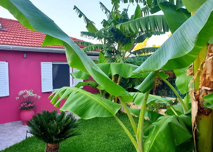 Aloe House