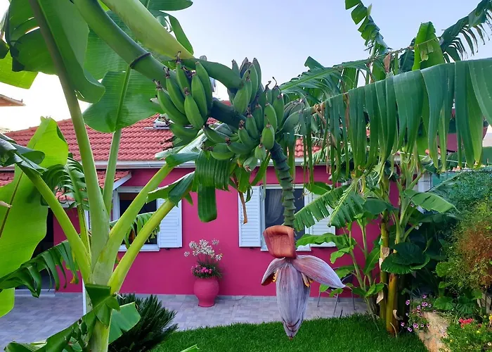 Aloe House *