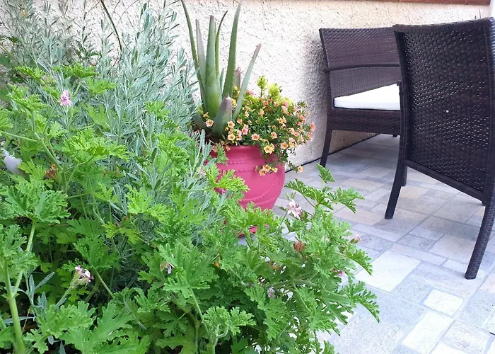 Nyaraló Aloe House