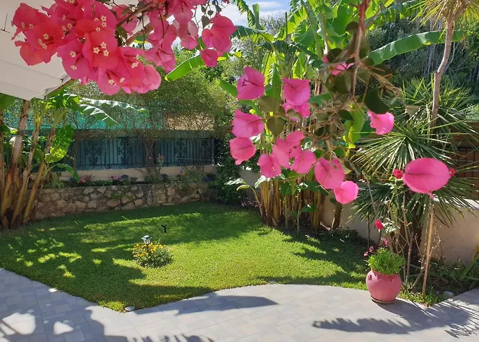 Aloe House Nyaraló *