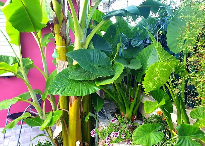 Aloe House * Lakíthra